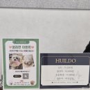 아지애견 | [내돈내산] 부산 명지에 새로 생긴 애견동반 찜질방 휴일도 부산점 솔직 후기