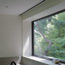 스테이고도 이미지