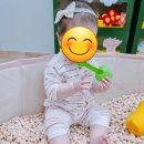 성북어린이집 | 돌전 아기 성북구 돈암2동어린이집 1년 후기ㅎ(1)