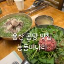 용산-28 | 용산 미쉐린 맛집 능동미나리 신용산점 웨이팅 솔직 후기