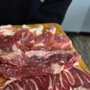 본가뒷고기 | 강릉 포남동 본가뒷고기 후기 – 특수부위모듬한판 10kg 한정, 예약 필수인 이유 강릉뒷고기맛집