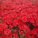 영등시민공원 이미지