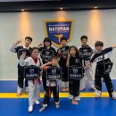 나토얀 태권도장 이미지