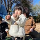 가을 숲으로 놀러가자 이미지