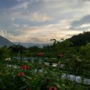 솔바우농장 이미지