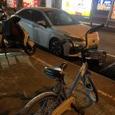 자금성 | 천안문 계양식, 자금성 오픈런 후기