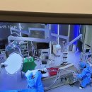 양산 증산 에스동물병원 십자인대파열 수술 후기