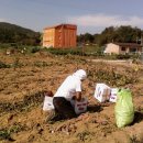 영수농장 이미지