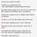 샤샤네일 이미지