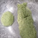 둥글리다 이미지