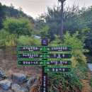 생거진천 유아숲체험원 이미지