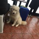 빨간머리몽게스트하우스