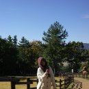 용소1길 | [거제도] 국내 여행 거제도 여행 1박 2일 코스 추천