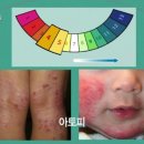 매일목욕탕 이미지