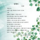 담쟁이 이미지