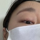그리나 | 창원 마산 현동 속눈썹 펌 잘하는 그리나뷰티 후기
