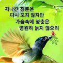 ♤이 세상에서 제일 중요한 사람♧ 이미지