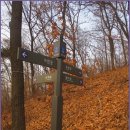 수원팔색길 도란길 이미지