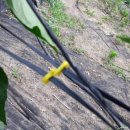 와부농업협동조합경제사업소 이미지