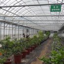 농업기술센터 청사(3층) 이미지