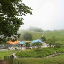 호법목장 이미지