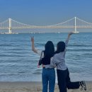 미화사 | 5월은 푸르구나아