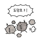 태림홈케어 이미지