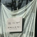 피네(P-ne) | 아산 온천동 두쫀쿠맛집 피네(P ne) 두번째 방문 후기