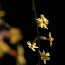 오늘도 봄 이미지