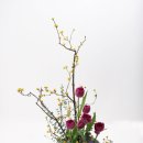 꽃꽂이 초급 이미지