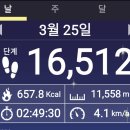 매일 만보걷기 일주일 후기입니다.