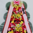 김제우석병원 이미지
