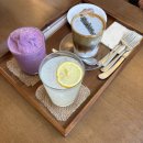 카페소을 | ☕ 안성 소을 카페 방문 후기｜강아지 있는 카페 + 소금빵 맛집 🐶🥐
