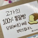 헬시프레제