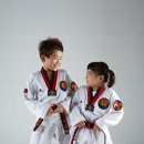 용인대범호태권도장 이미지