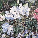 화가의정원 이미지