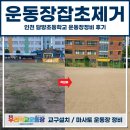 인천담방초등학교 | 운동장잡초제거, 인천 담방초등학교 운동장정비 후기