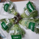 이정파트너스 이미지