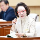 박신영 카카오 검색결과