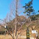 도음산 유아숲체험원 이미지