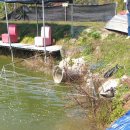 단강낚시터 이미지