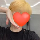 (주)지티인터내셔널 | 짧은머리 버진모 톤다운 염색모 셀프탈색 2회 성공 후기 슈바츠코프 파이버 플렉스