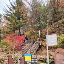 소천로 | 파주 감악산 단풍 산행 + 복어요리 맛집 &#39;감악산 복칼국수&#39; 내돈내산 솔직후기 🍲