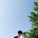 노을바다 | 제주스냅 자연스러운 야외웨딩, 숲부터 노을바다까지 촬영 후기