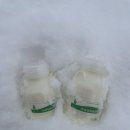 케이팜스타 | 북해도 겨울 여행 삿포로 비에이 후라노 버스 투어 나홀로나무 준페이 닝구르테라스 당일치기