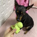 폴리파크 김천혁신점 이미지