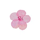 (주)파스텔커뮤니케이션 이미지