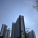 더퍼스트예미지 이미지