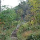 제이드가든 오토캠핑장 이미지