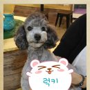 포포앤미루 강동점 이미지